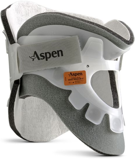 Picture of Aspen® Collar Back Panel - Small